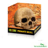 Exo Terra - Primate Skull