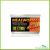 Exo Terra - Mealworms (34g) Dosenfutter (Mehlwürmer)