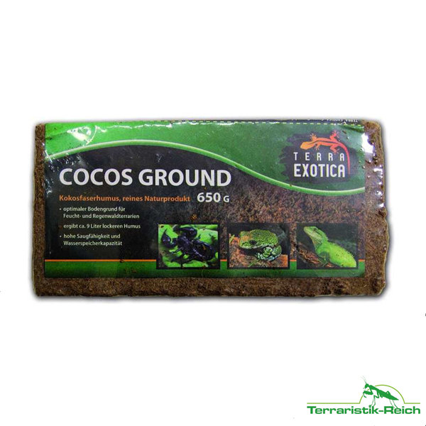 Terra Exotica - Cocos Ground