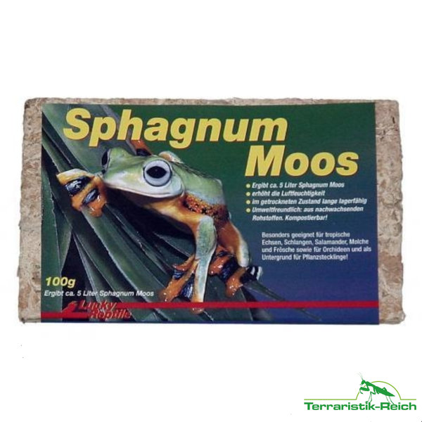 Lucky Reptile - Sphagnum Moos 100g
