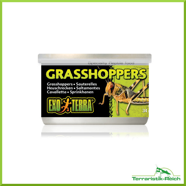 Exo Terra - Grasshoppers (34g) Dosenfutter (Heuschrecken)
