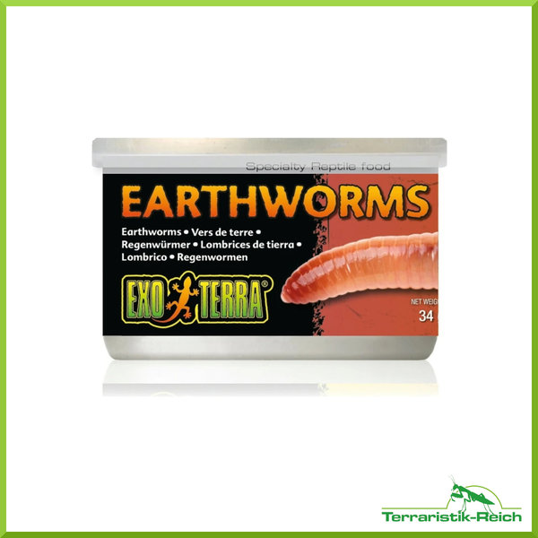 Exo Terra - Earthworms (34g) Dosenfutter (Regenwürmer)